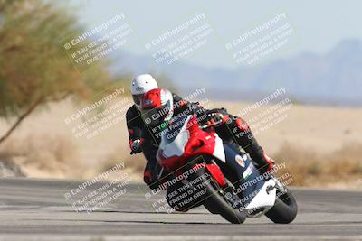 media/Oct-13-2025-Moto Forza (Mon) [[a66d839500]]/3-B Group/Session 4 Turn 4 Tree of Life/